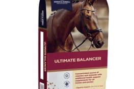 ULTIMATE BALANCER 20Kg