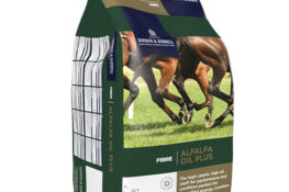 alfalfa oil plus