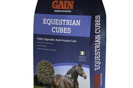 gain-equestrian-cubes-25kg