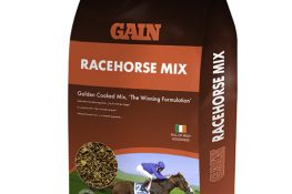 gain-racehorse-mix-20kg