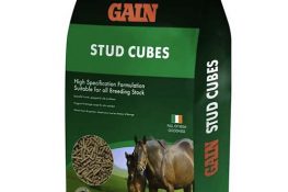 gain-stud-cubes-25kg