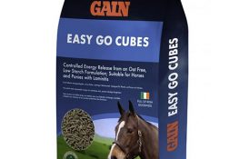 gain-easy-go-cubes-25kg