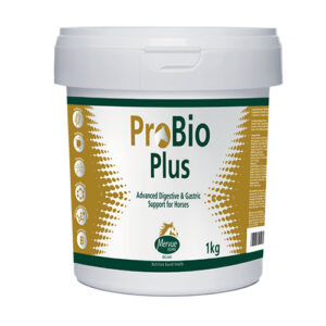 MERVUE PRO-BIO FORTE 1 KG - POWDER