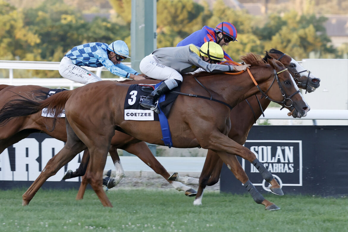 Gran premio de Madrid